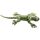 Frill Neck Lizard Large Sand Animal