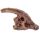 Rawr Dinosaur Skull Fossil Dig-A-Saurs Dig it Out Kit