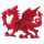 Welsh Dragon Magnet