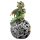 Elements Dragon Celtic LED Orb