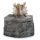 Shadows of Darkness Dragon Skull Trinket Box