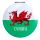 Wales Welsh Dragon Cymru Compact Mirror