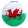 Wales Welsh Dragon Cymru Compact Mirror