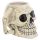 Ancient Skull Head Ceramic Shaped Mug