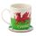 Wales Welsh Dragon Cymru Porcelain Mug & Coaster Set