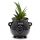Black Witches Cauldron Shaped Ceramic Indoor Freestanding Planter/Plant Pot