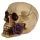 Skulls and Roses Skull with Purple Roses