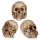 Set of 3 Small See No, Hear No, Speak No Evil Skulls