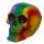 Rainbow Skull Decoration