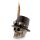 Steampunk Style Skull with Top Hat & Feathers