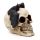 Gruesome Skull Head with Bat Decoration