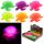 Colourful Turtle Squidgy Light Up LED Puff Pet