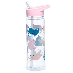 Shatterproof Plastic 550ml Water Bottle Cat's Life Shatterproof Plastic 550ml Water Bottle Cat's Life