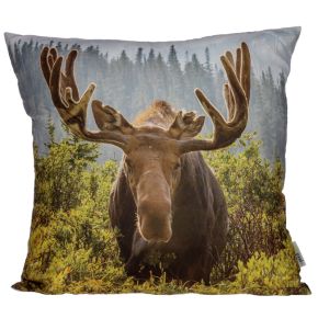 Moose Photo Cushion Moose Photo Cushion
