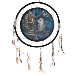 Lisa Parker Fairy Tales Owl & Fairy Dreamcatcher 60cm Lisa Parker Fairy Tales Owl & Fairy Dreamcatcher 60cm