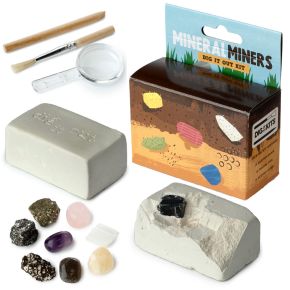 Rocks, Minerals & Gems Dig-A-Saurs Dig it Out Kit Rocks, Minerals & Gems Dig-A-Saurs Dig it Out Kit