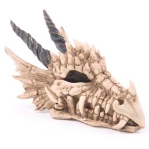 Dragon Skull Money Box Dragon Skull Money Box
