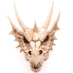 Large Dragon Skull Decoration Large Dragon Skull Decoration