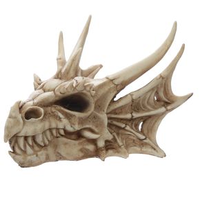 Dragon Skull Decoration Dragon Skull Decoration