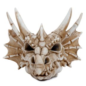 Shadows of Darkness Dragon Skull Money Box Shadows of Darkness Dragon Skull Money Box