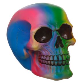 Rainbow Skull Decoration Rainbow Skull Decoration