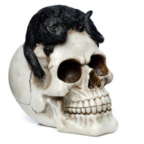 Skull with Black Cat Ornament Skull with Black Cat Ornament