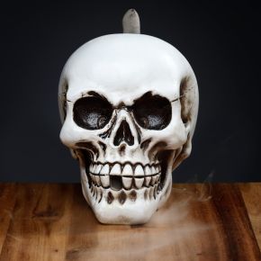 Skull Backflow Incense Burner Skull Backflow Incense Burner