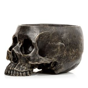 Skull Garden Planter Skull Garden Planter