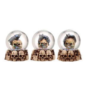 Gruesome Skull Snow Globe with Animals Gruesome Skull Snow Globe with Animals