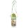 450ml Children's Water Bottle Zooniverse