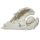 Cherub Sleeping, Long Wings